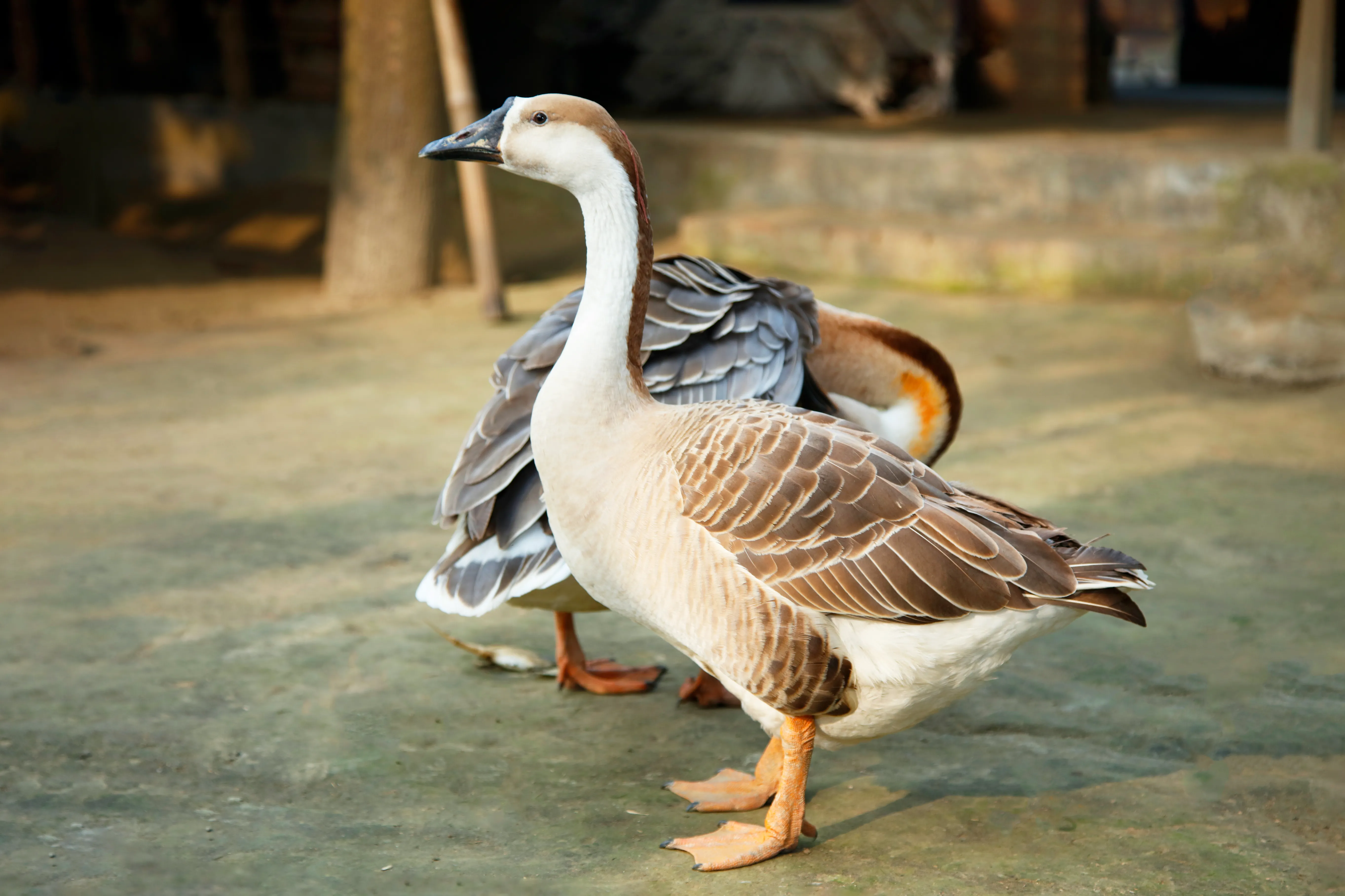 assets/image/activcitis/1.webp